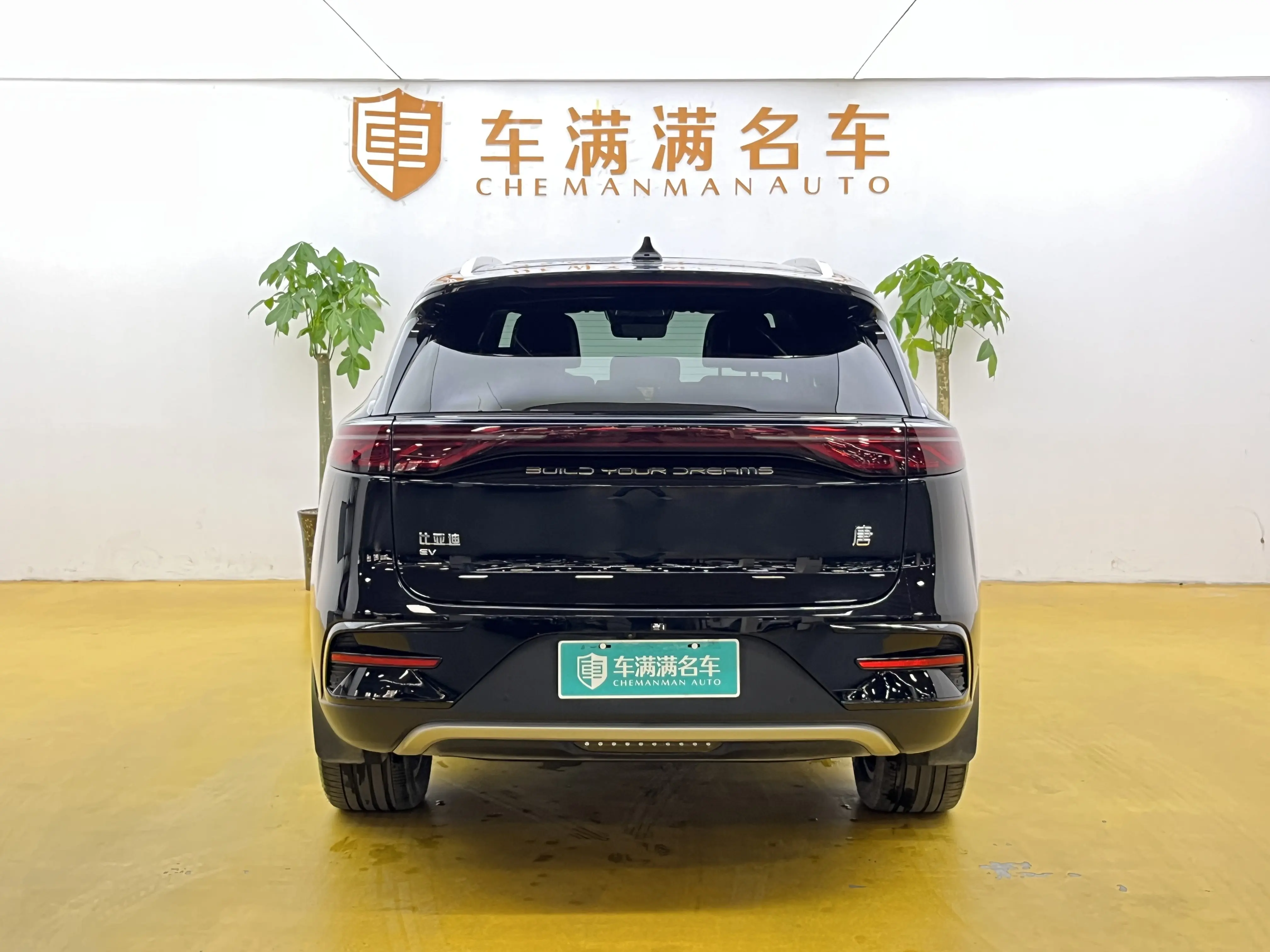 BYD Tang EV