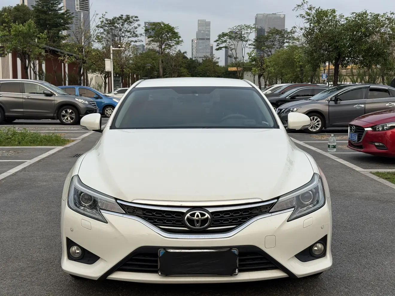 Toyota Ruizhi