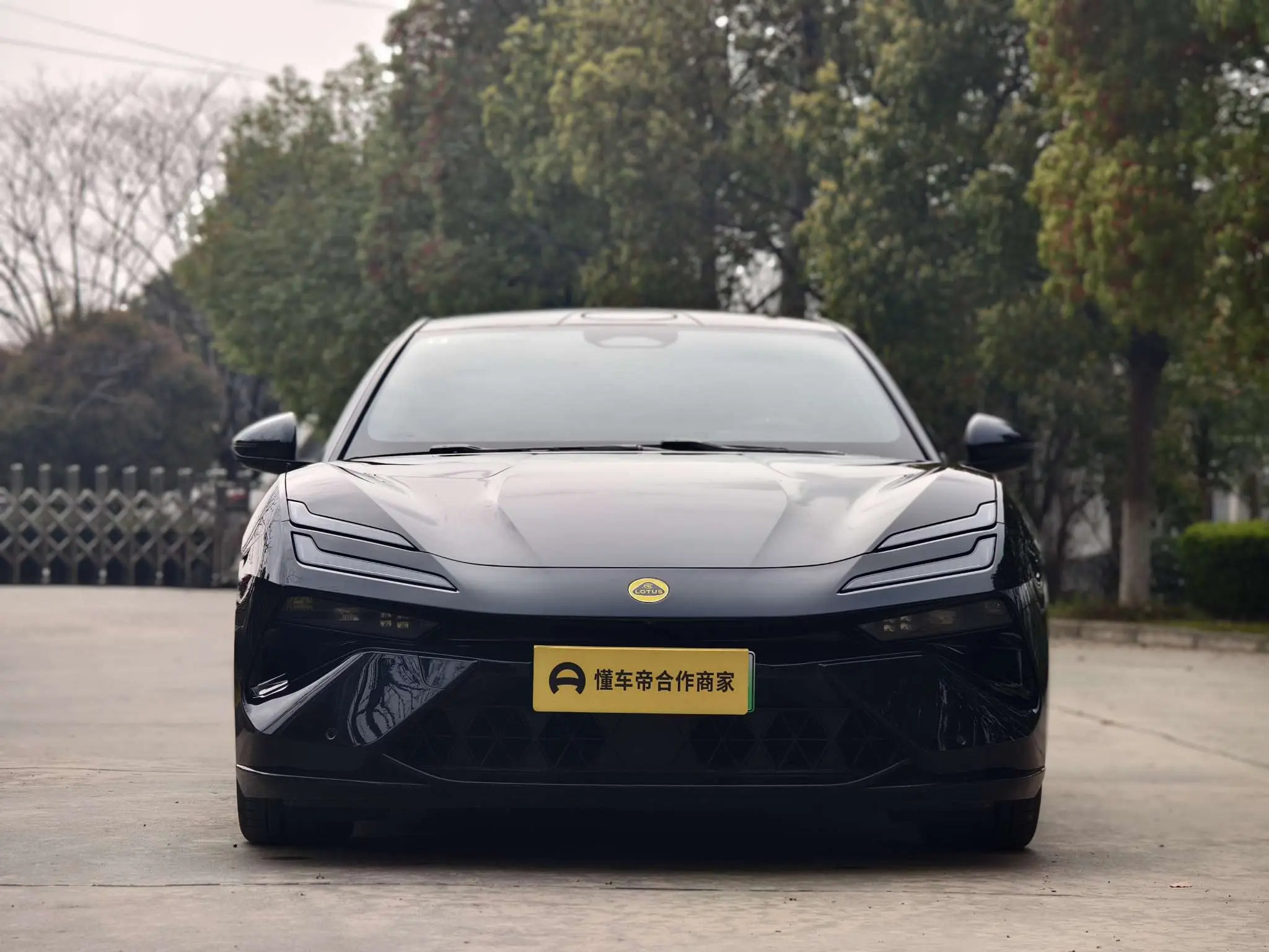 Lotus Emeya