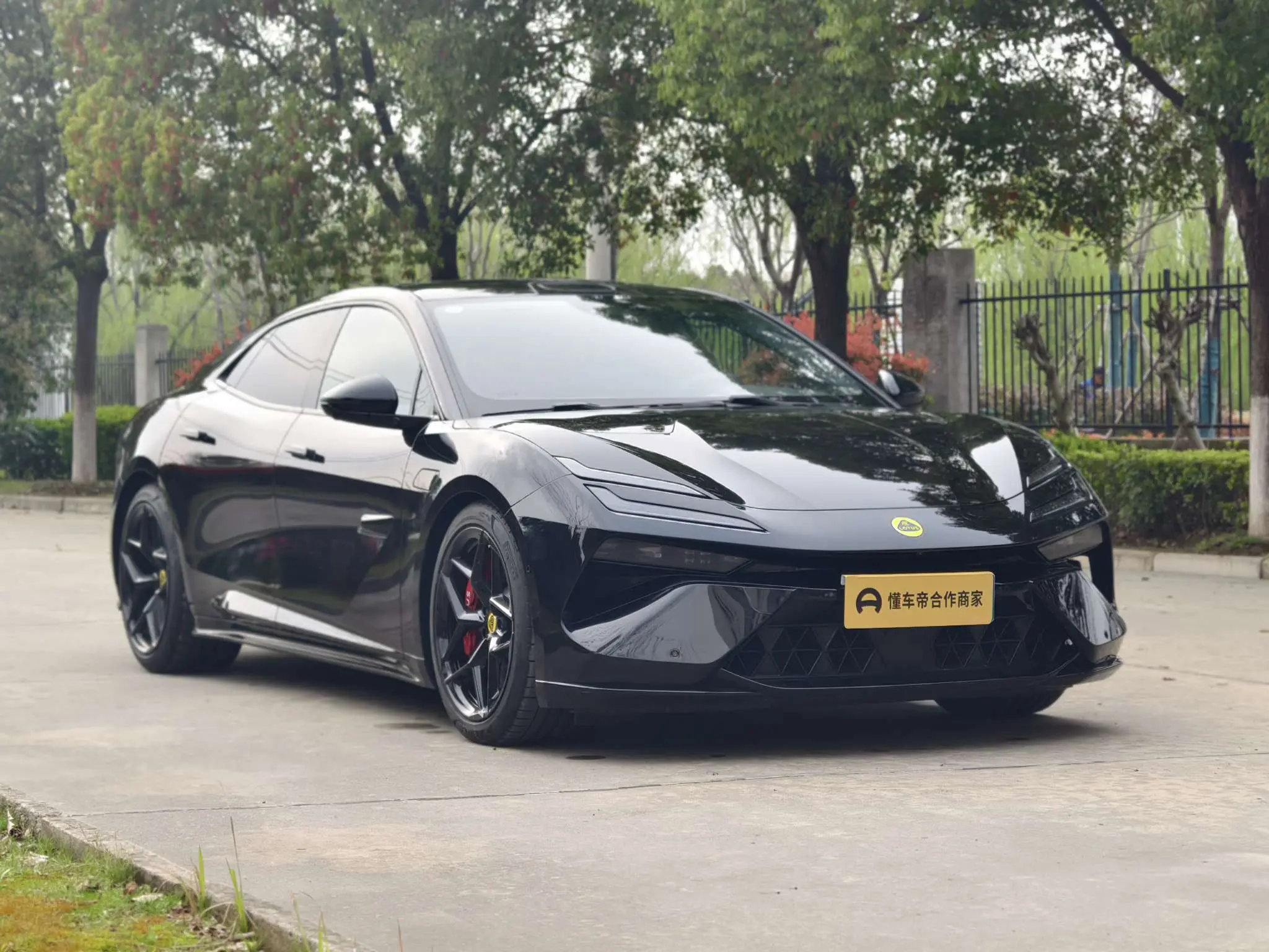 Lotus Emeya