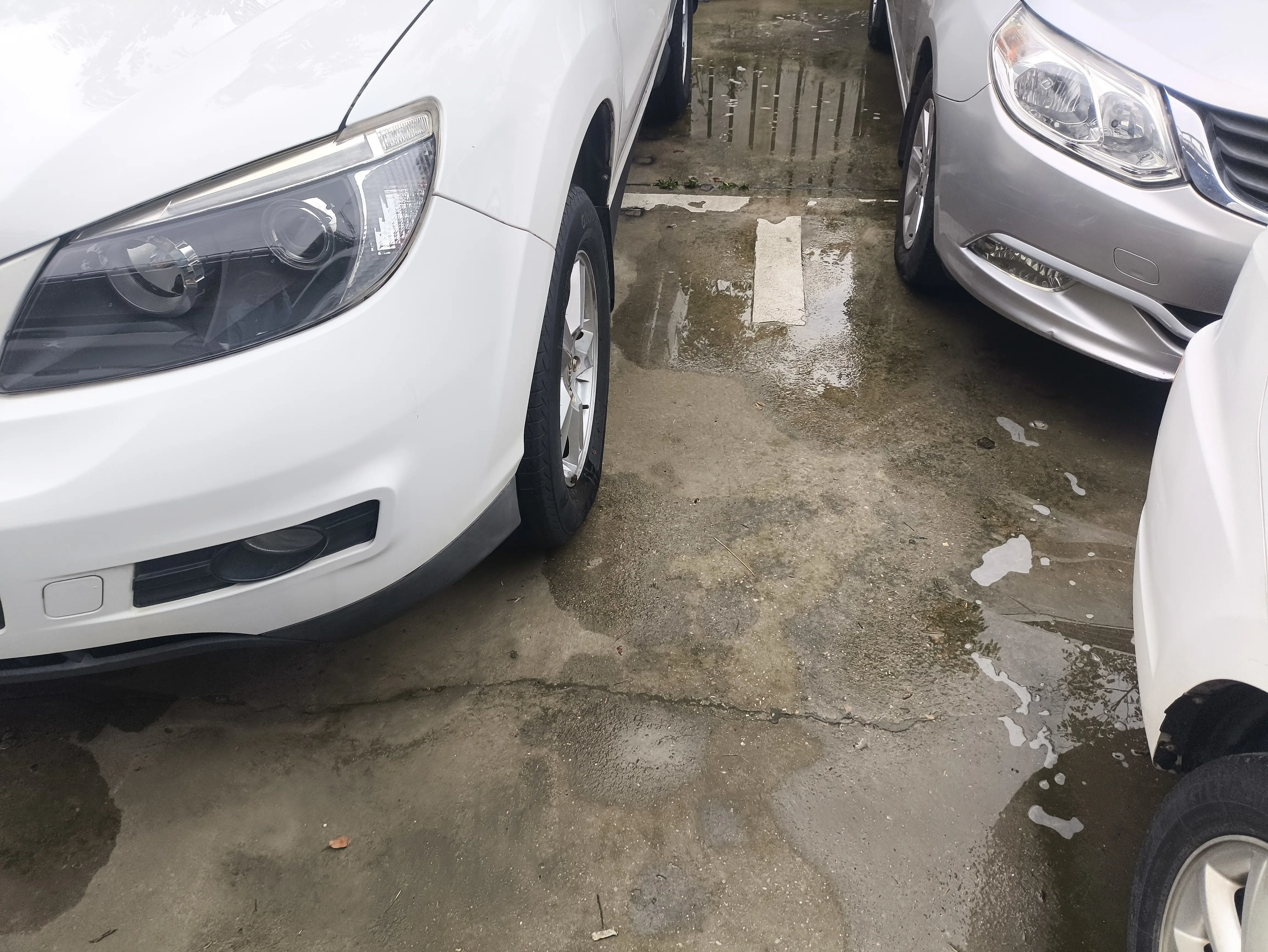BYD S6