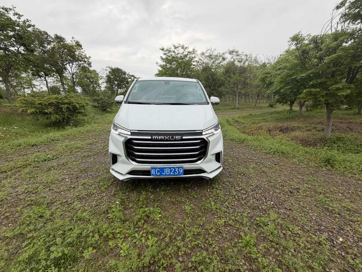 Datong Maxus G20