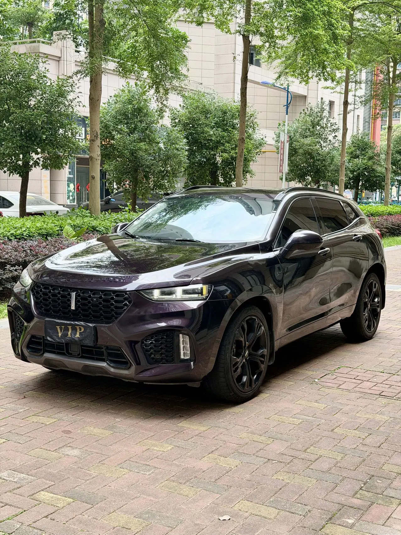 Wey Wei brand VV7
