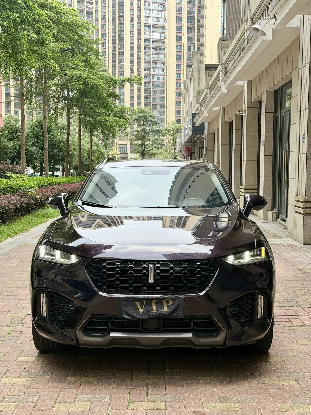 Wey Wei brand VV7
