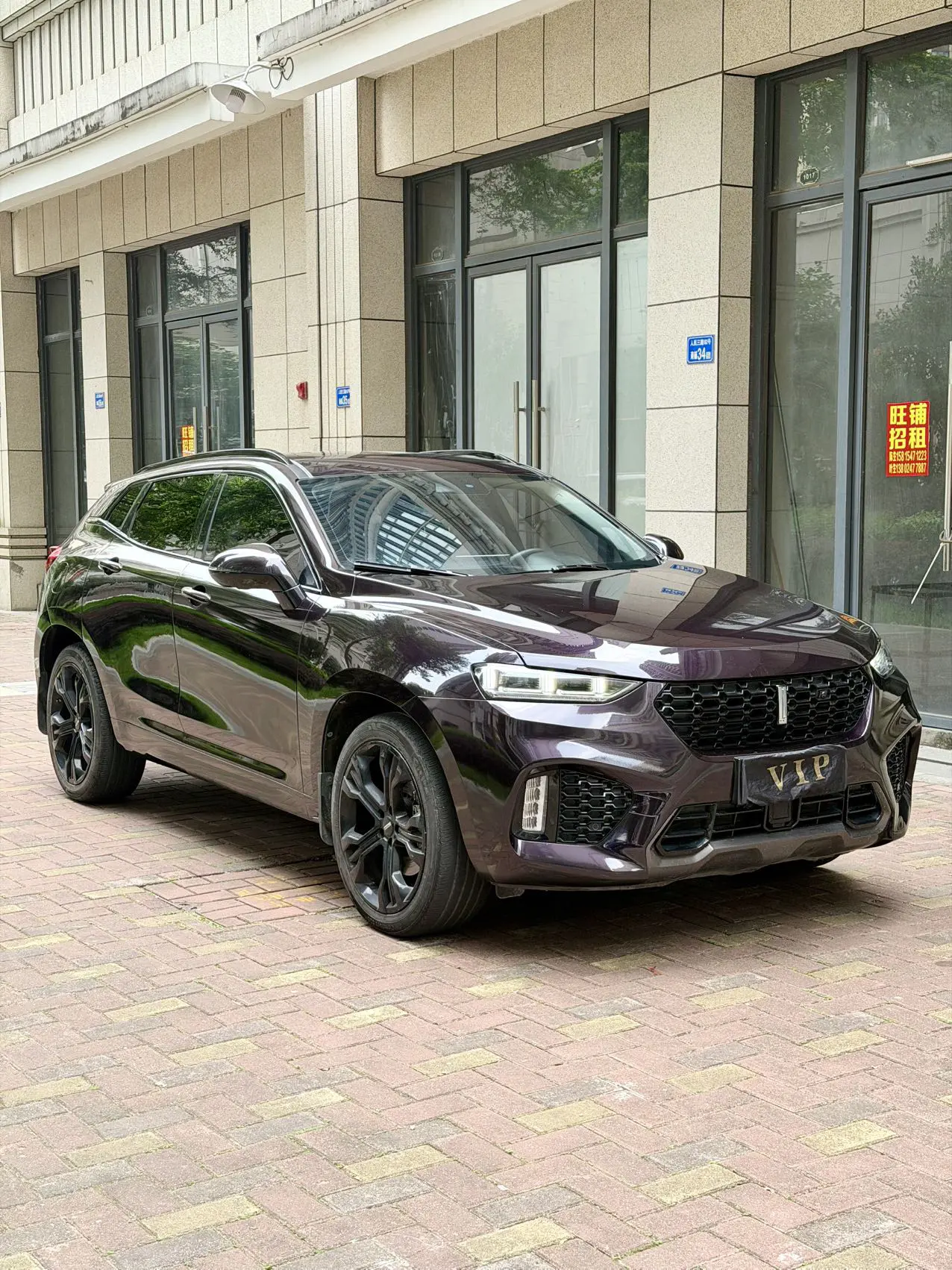 Wey Wei brand VV7