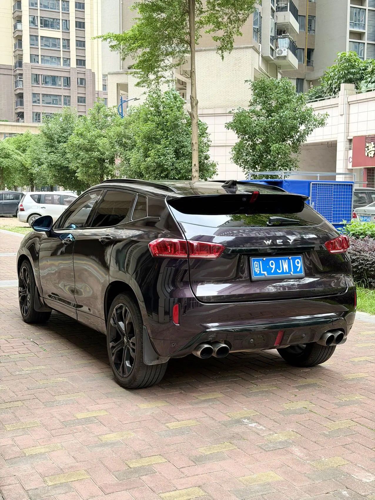 Wey Wei brand VV7