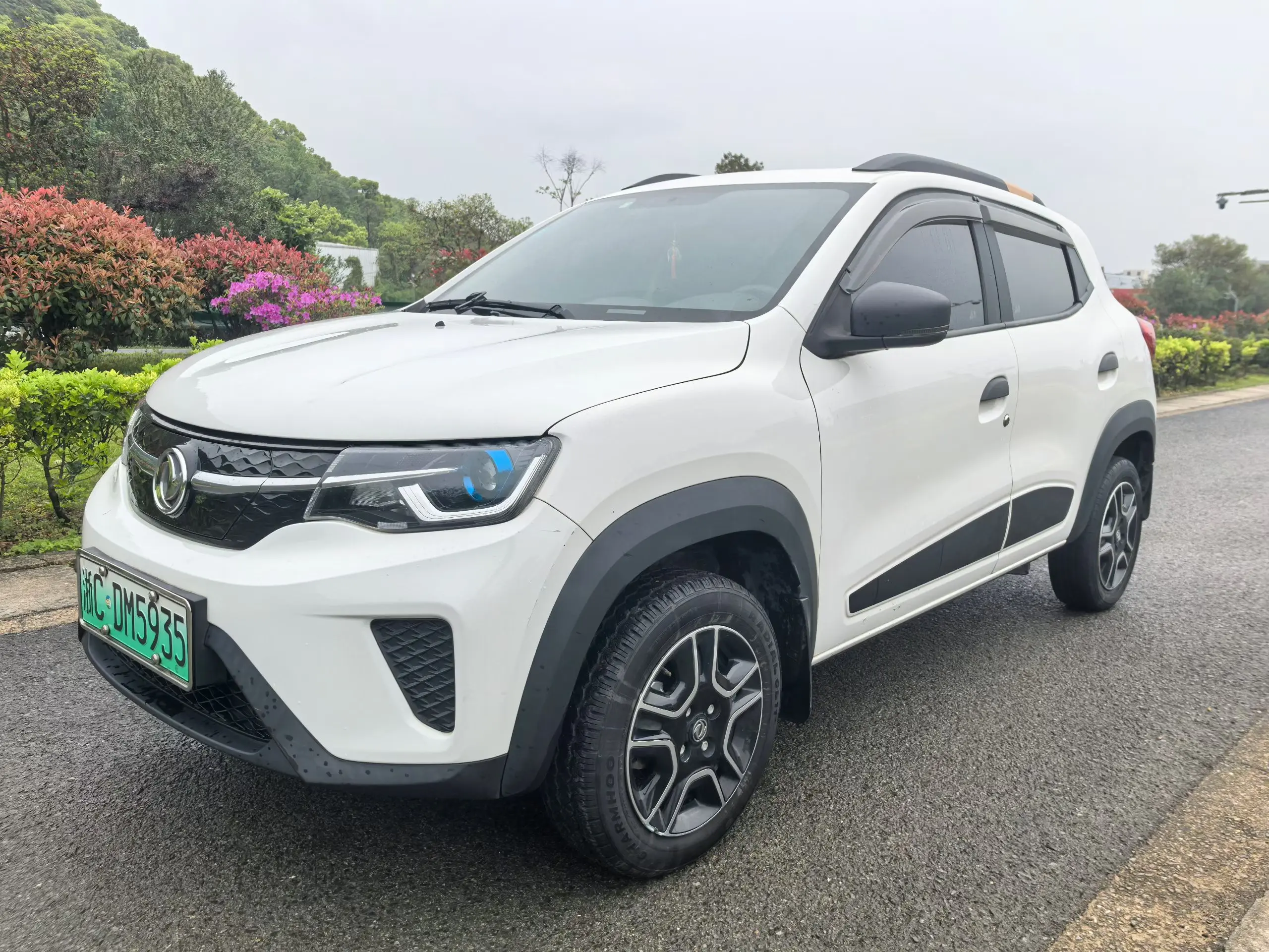 Dongfeng Nano EX1