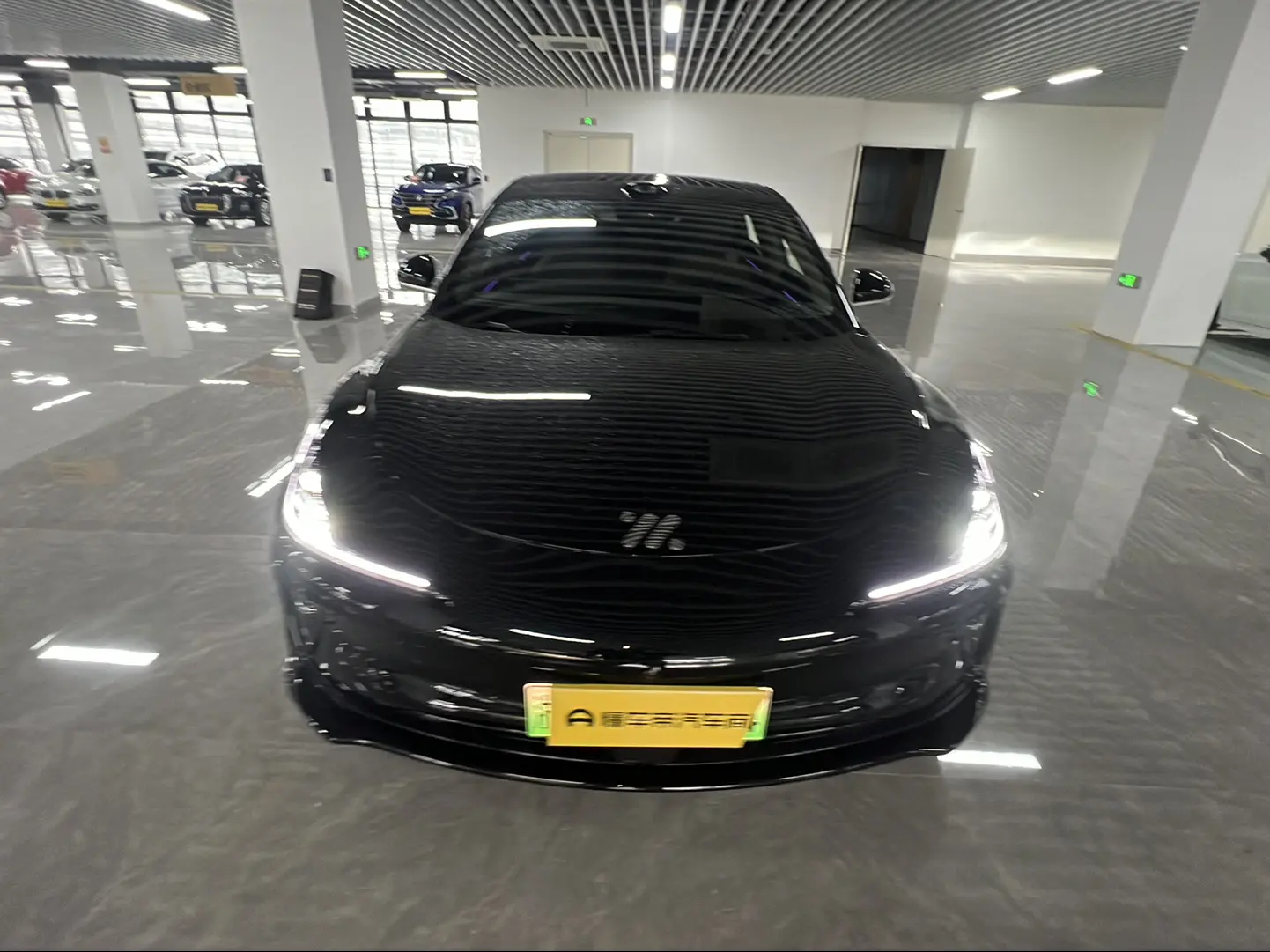 IM Motors L6