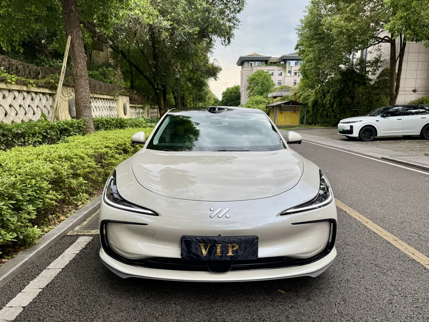 IM Motors L6