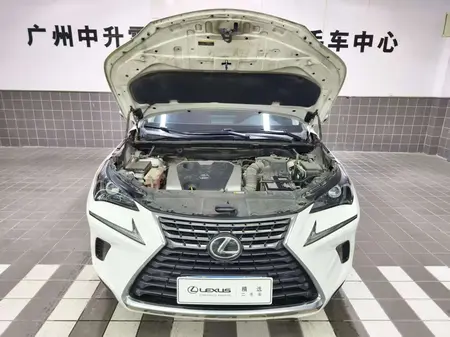 catalog-car-7