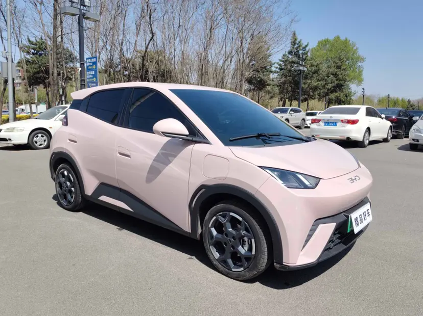 BYD Seagull