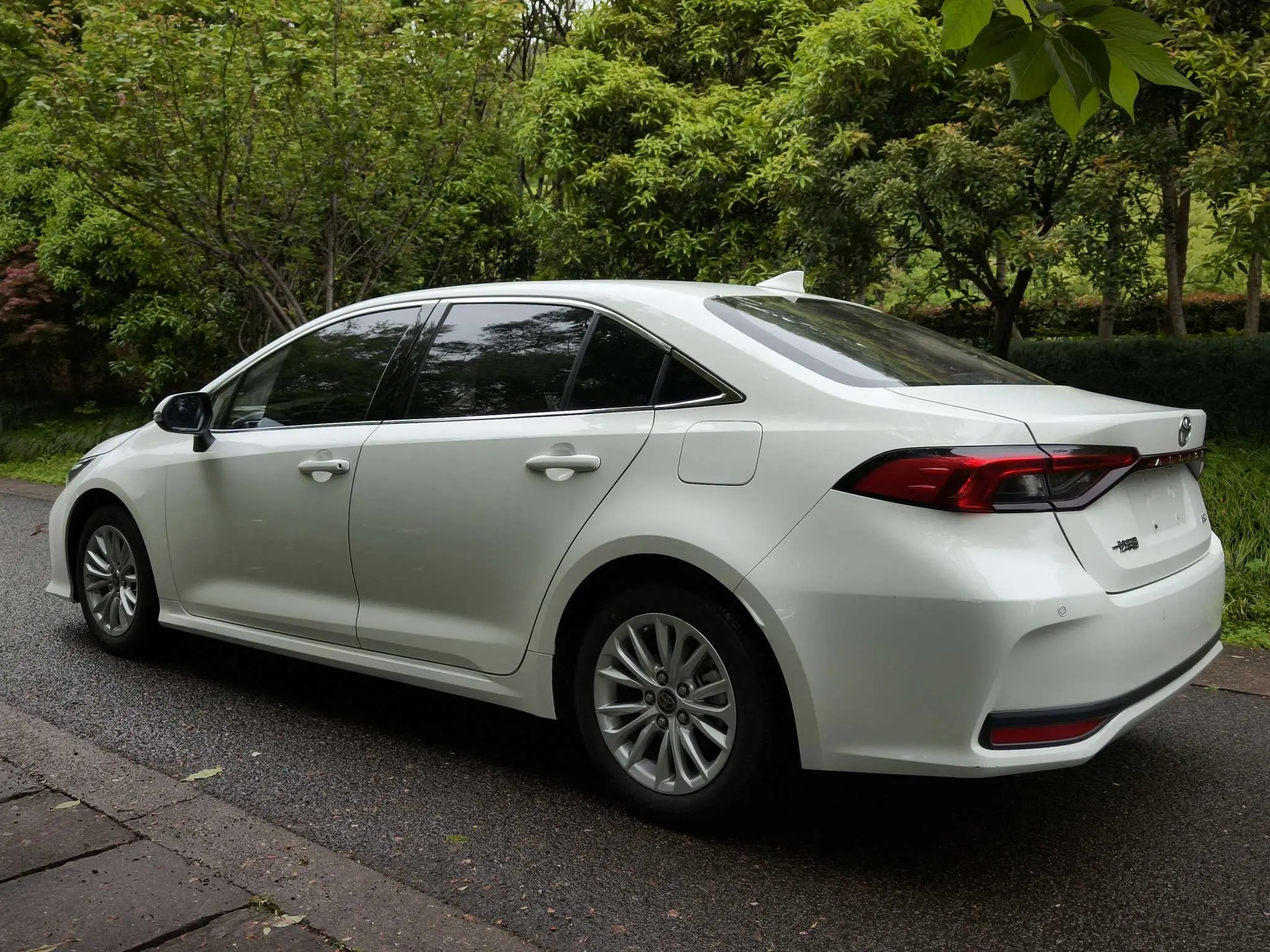 Toyota Asiatic lion