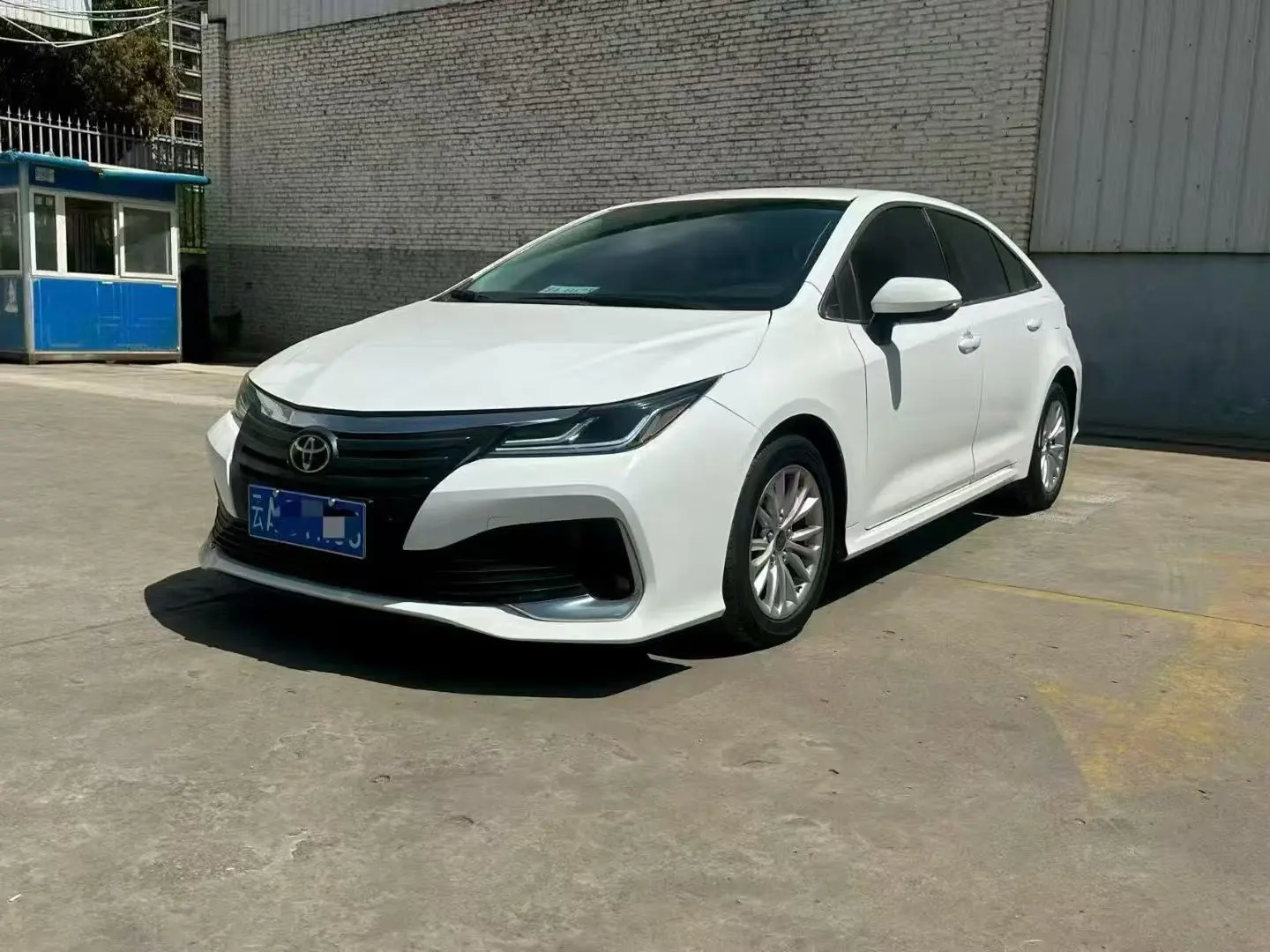 Toyota Asiatic lion