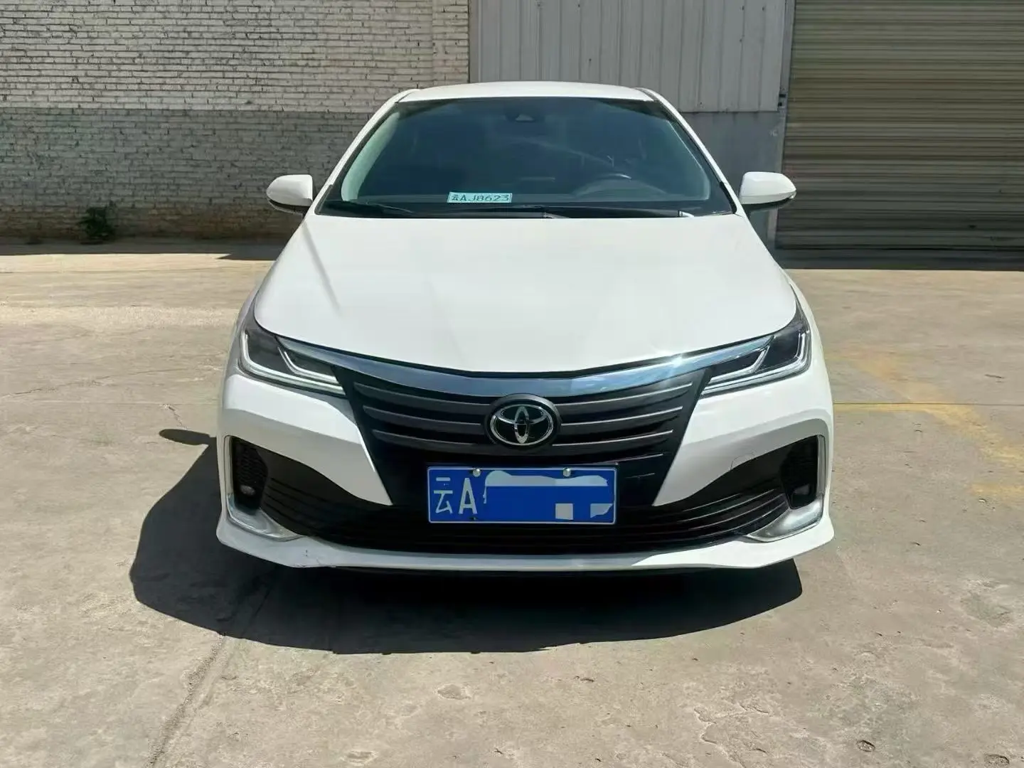 Toyota Asiatic lion