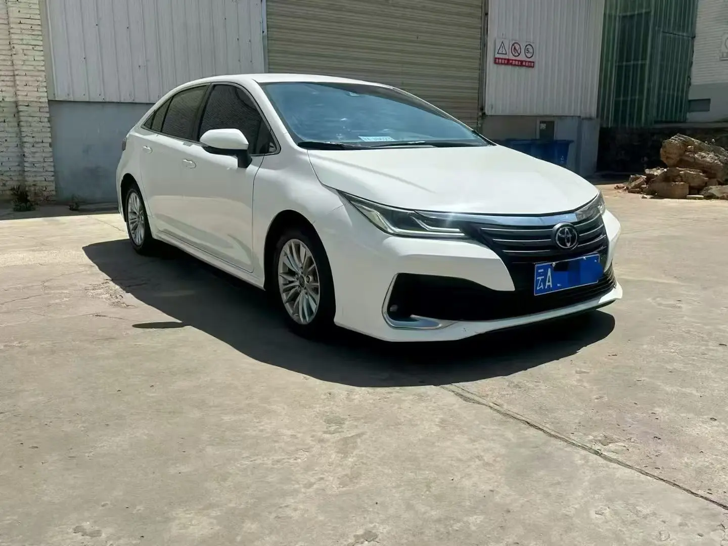 Toyota Asiatic lion