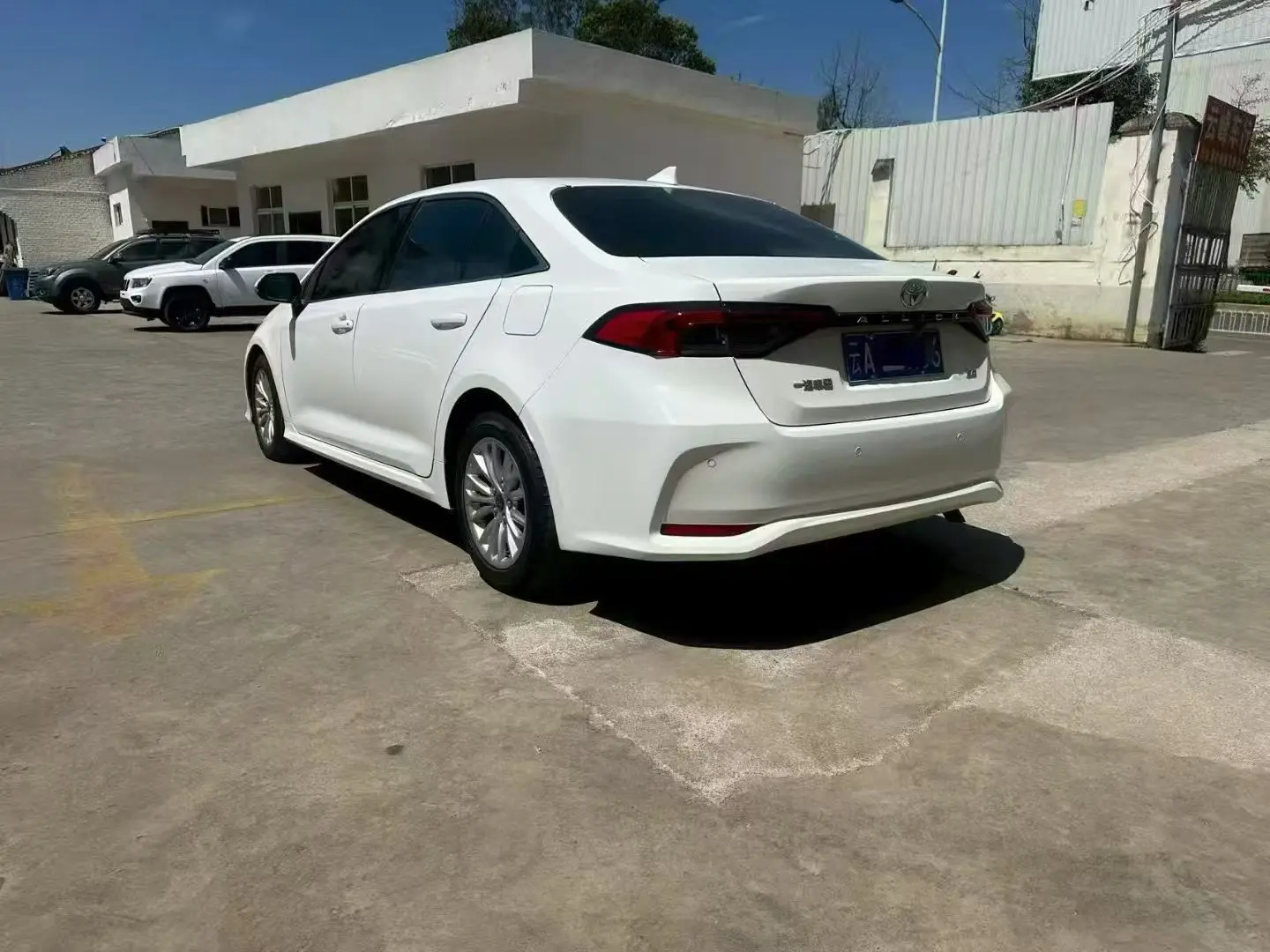 Toyota Asiatic lion