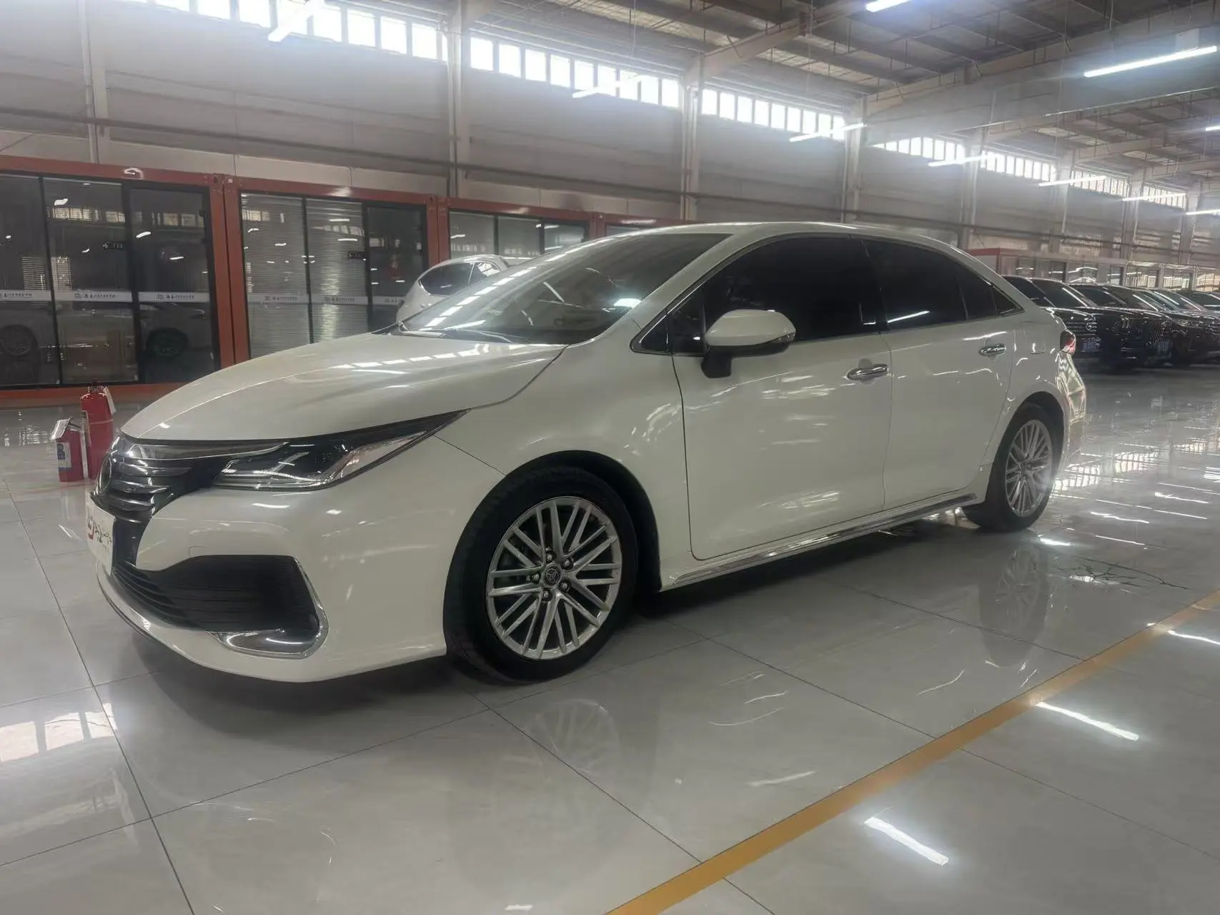 Toyota Asiatic lion