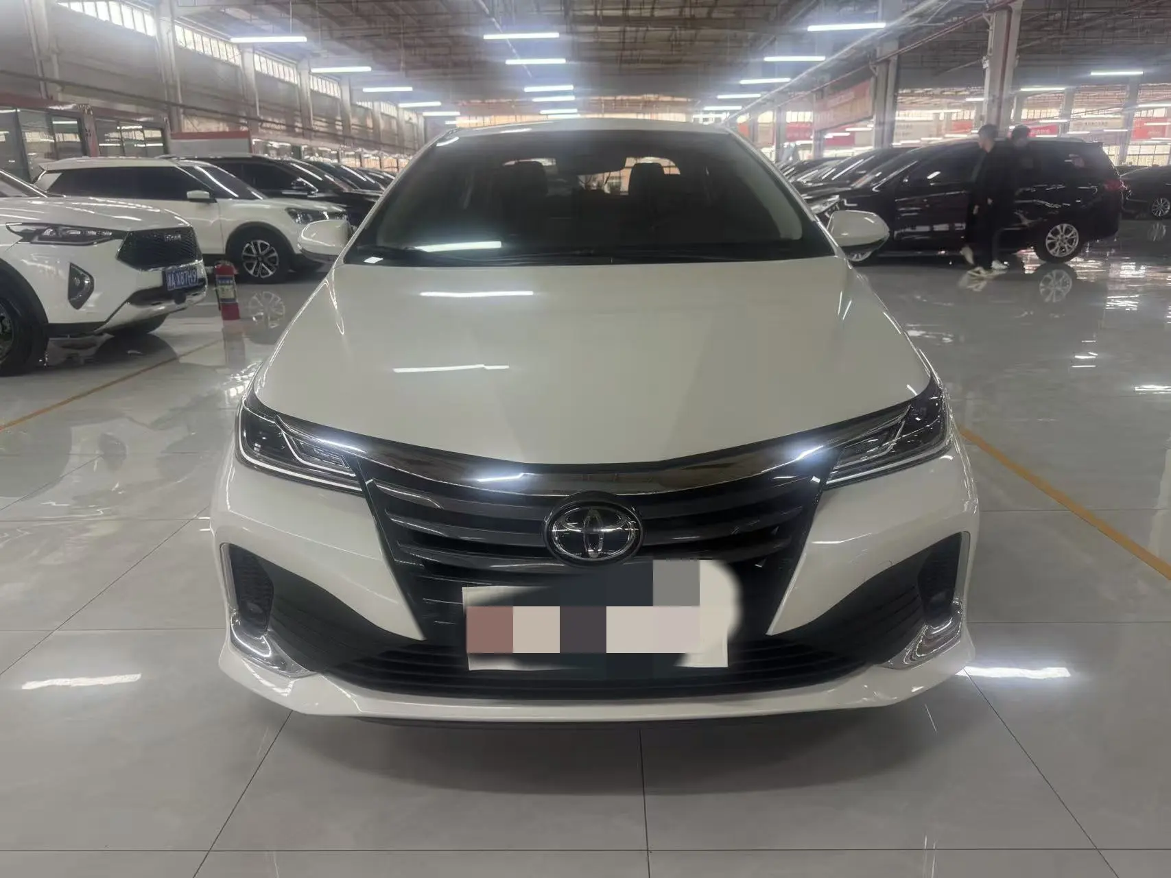 Toyota Asiatic lion