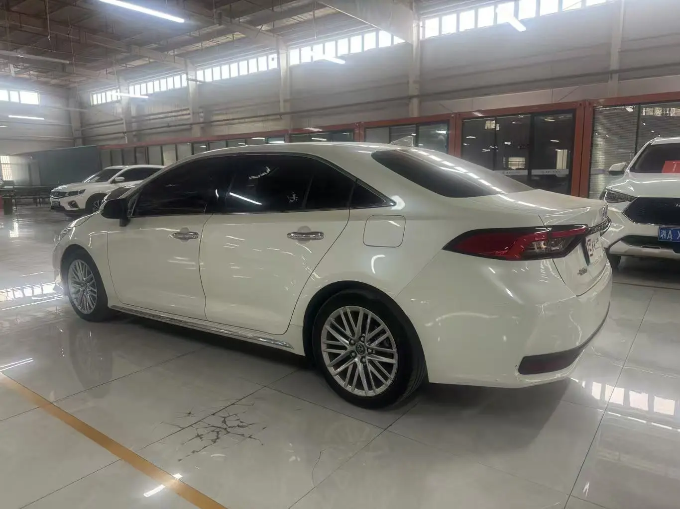 Toyota Asiatic lion