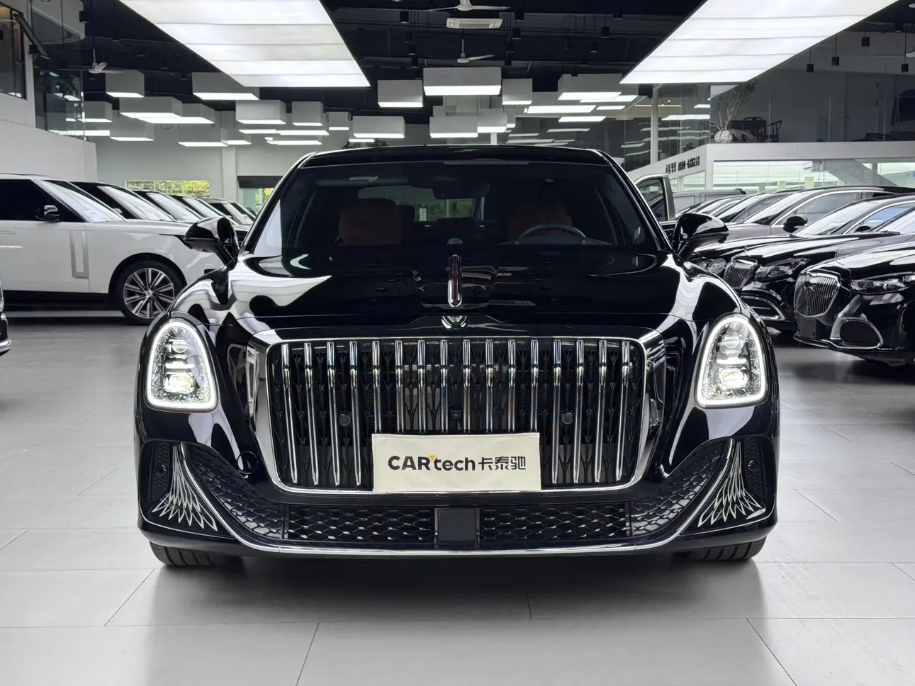 Hongqi Red Flag Golden Sunflower Country Elegance