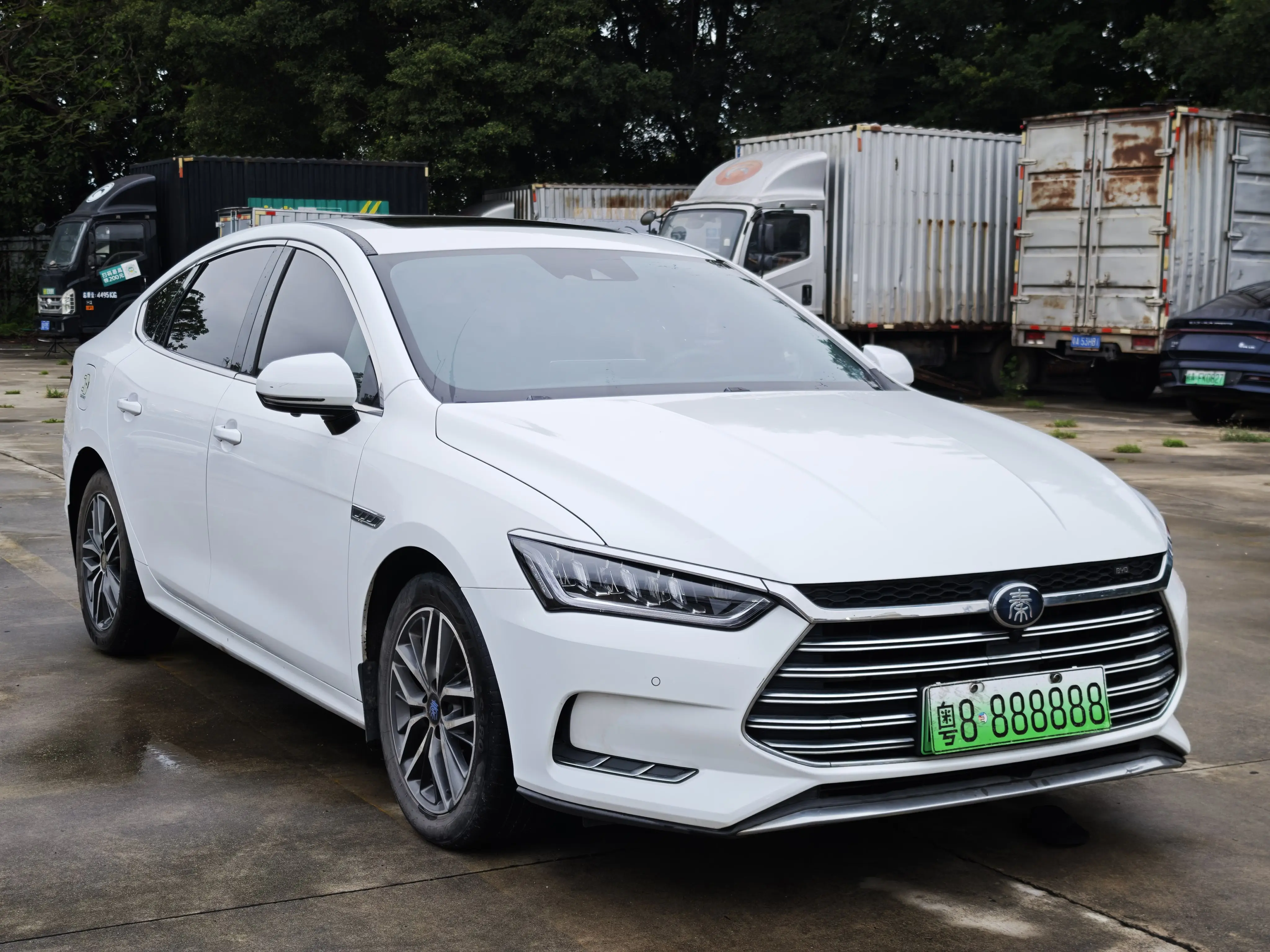 BYD Qin Pro DM