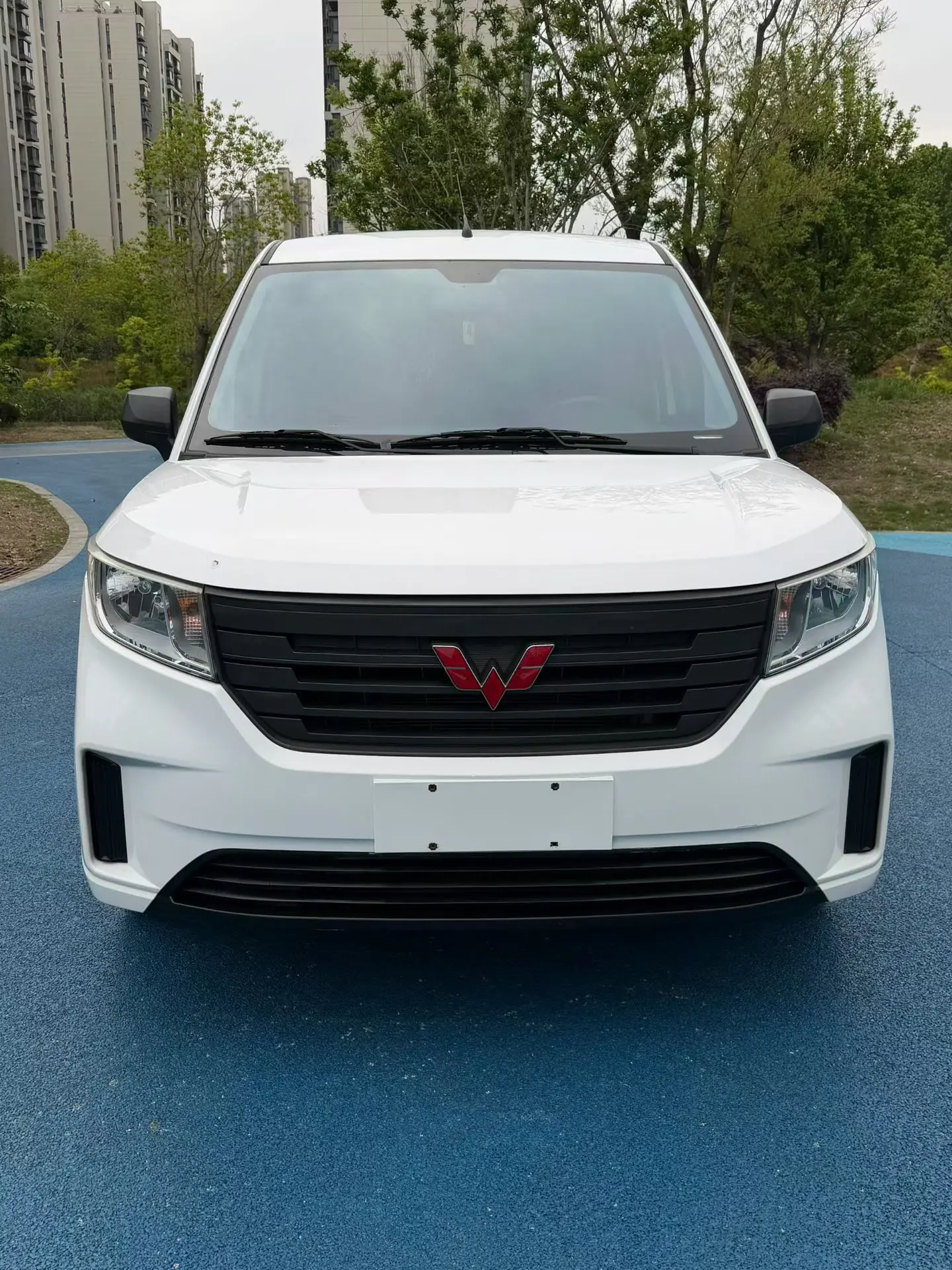 Wuling Hongguang PLUS