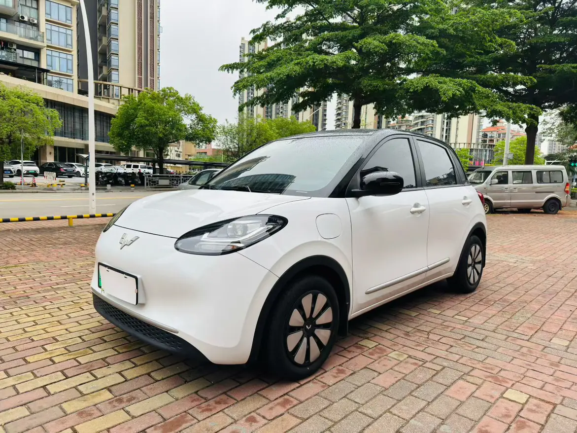 Wuling Bingo