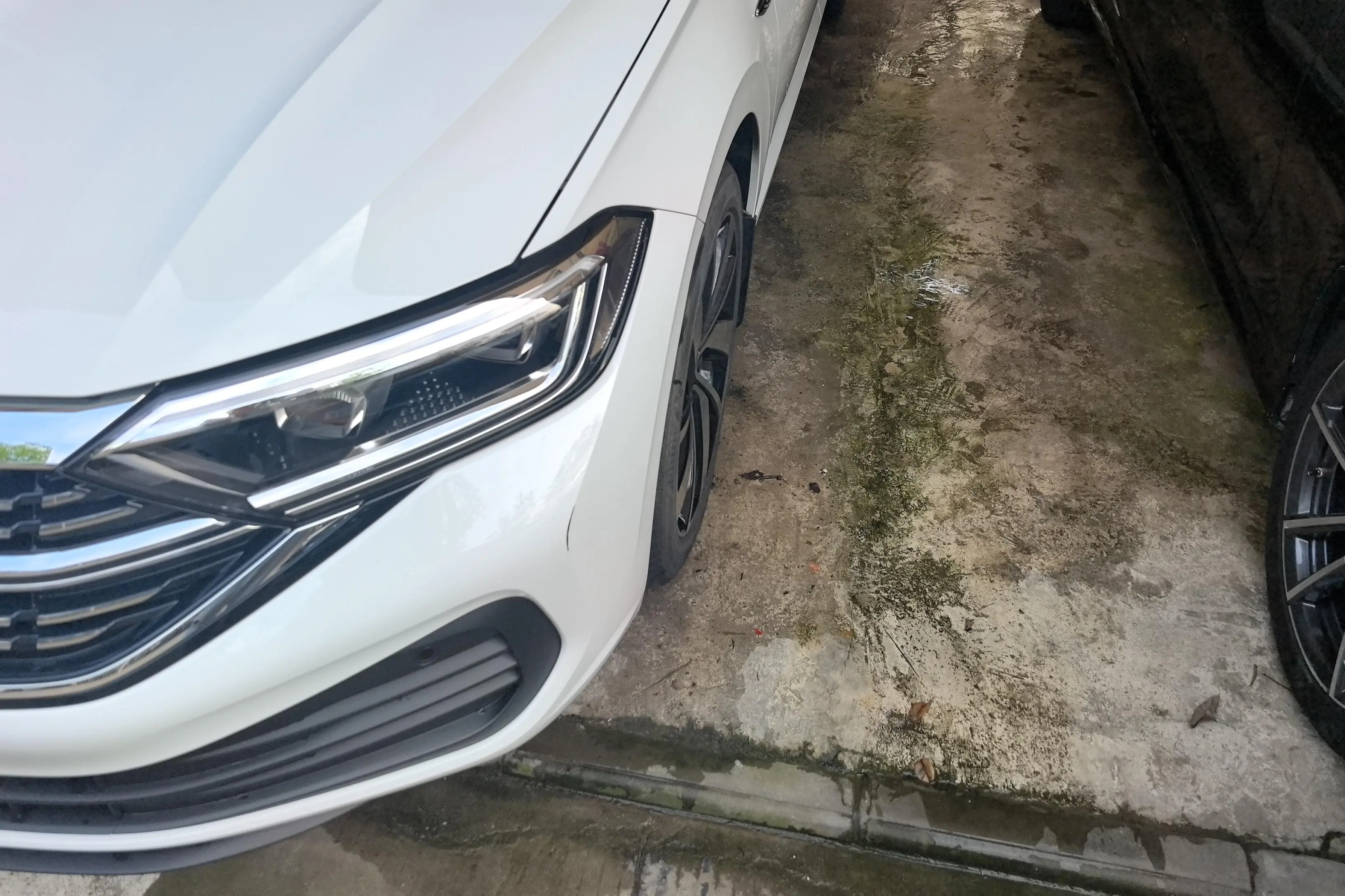 Volkswagen Sagitar