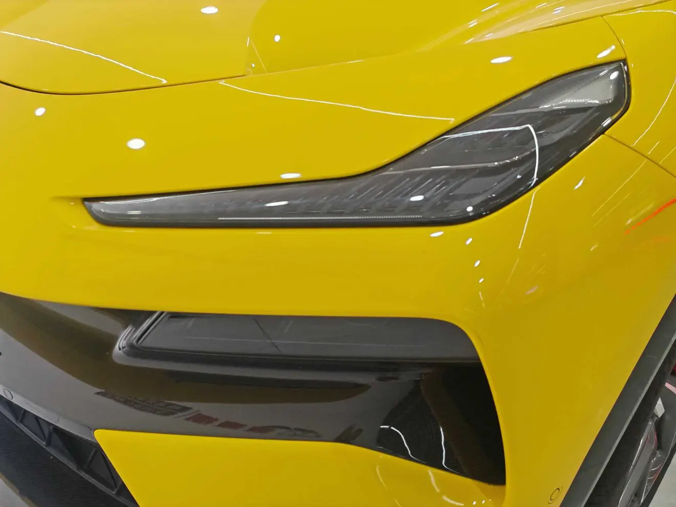 Lotus Eletre