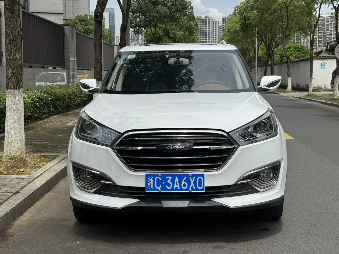 Zotye T300