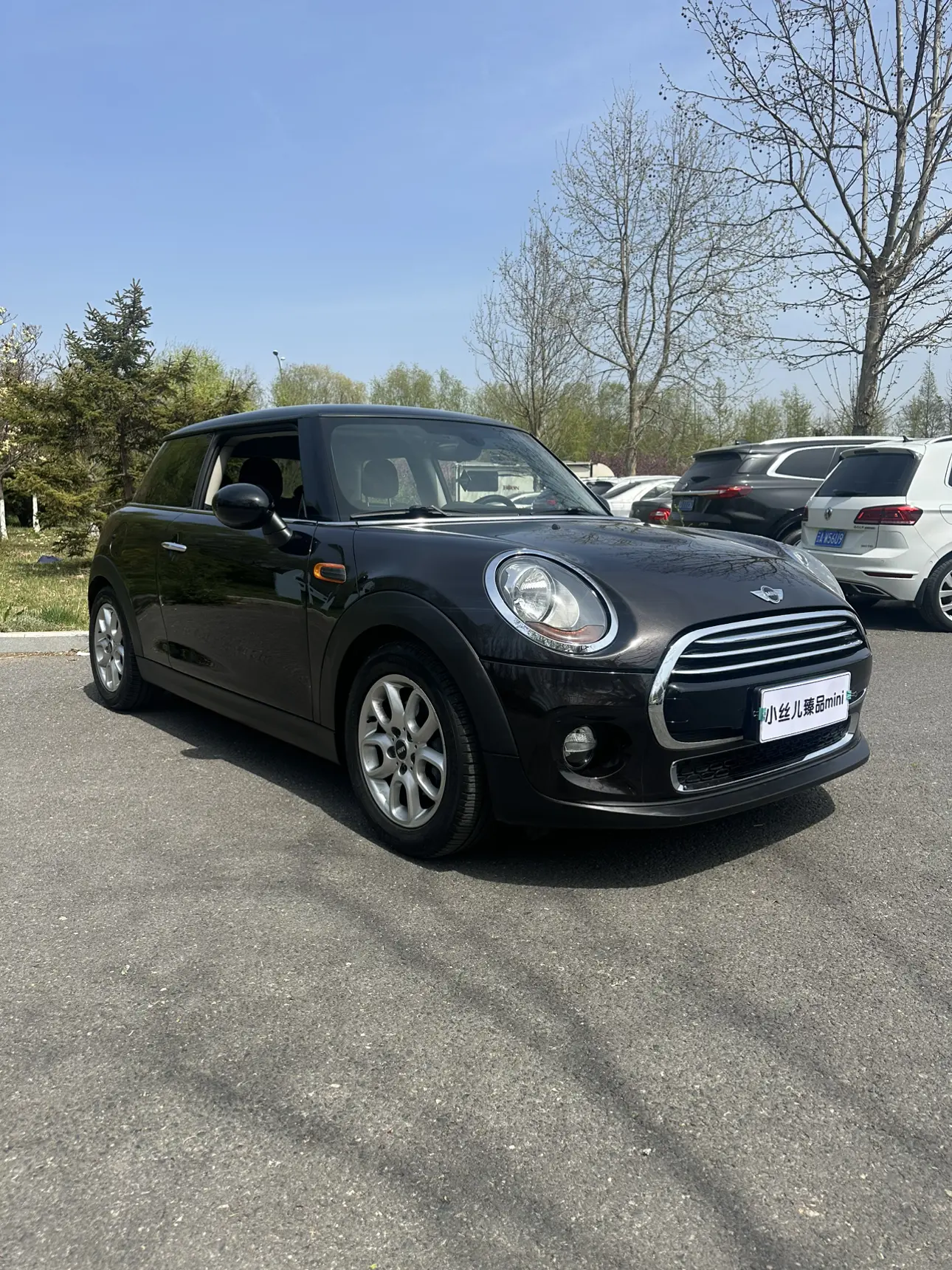 MINI 