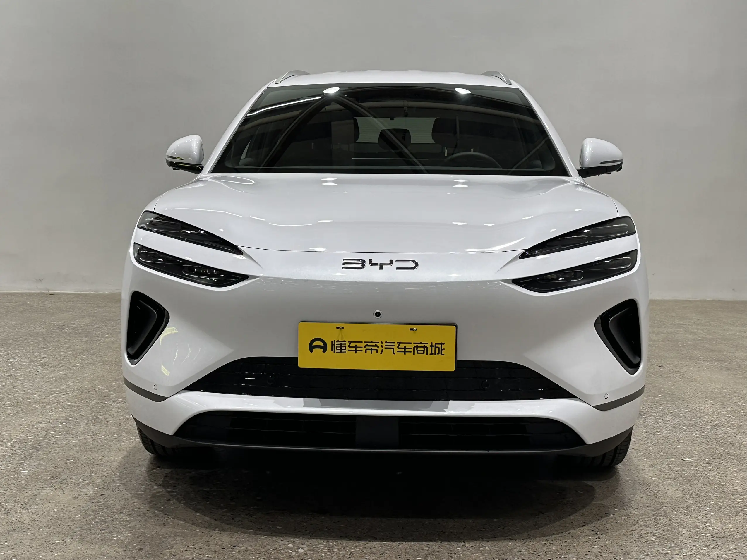 BYD Sea Lion 06EV