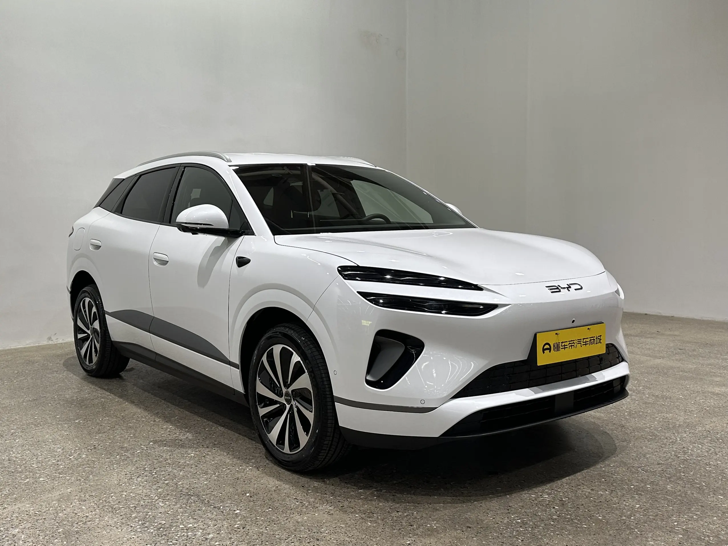 BYD Sea Lion 06EV