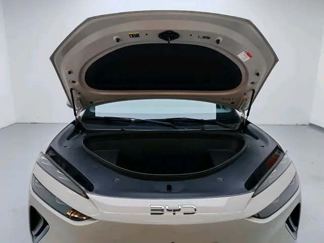 BYD Sea Lion 06EV