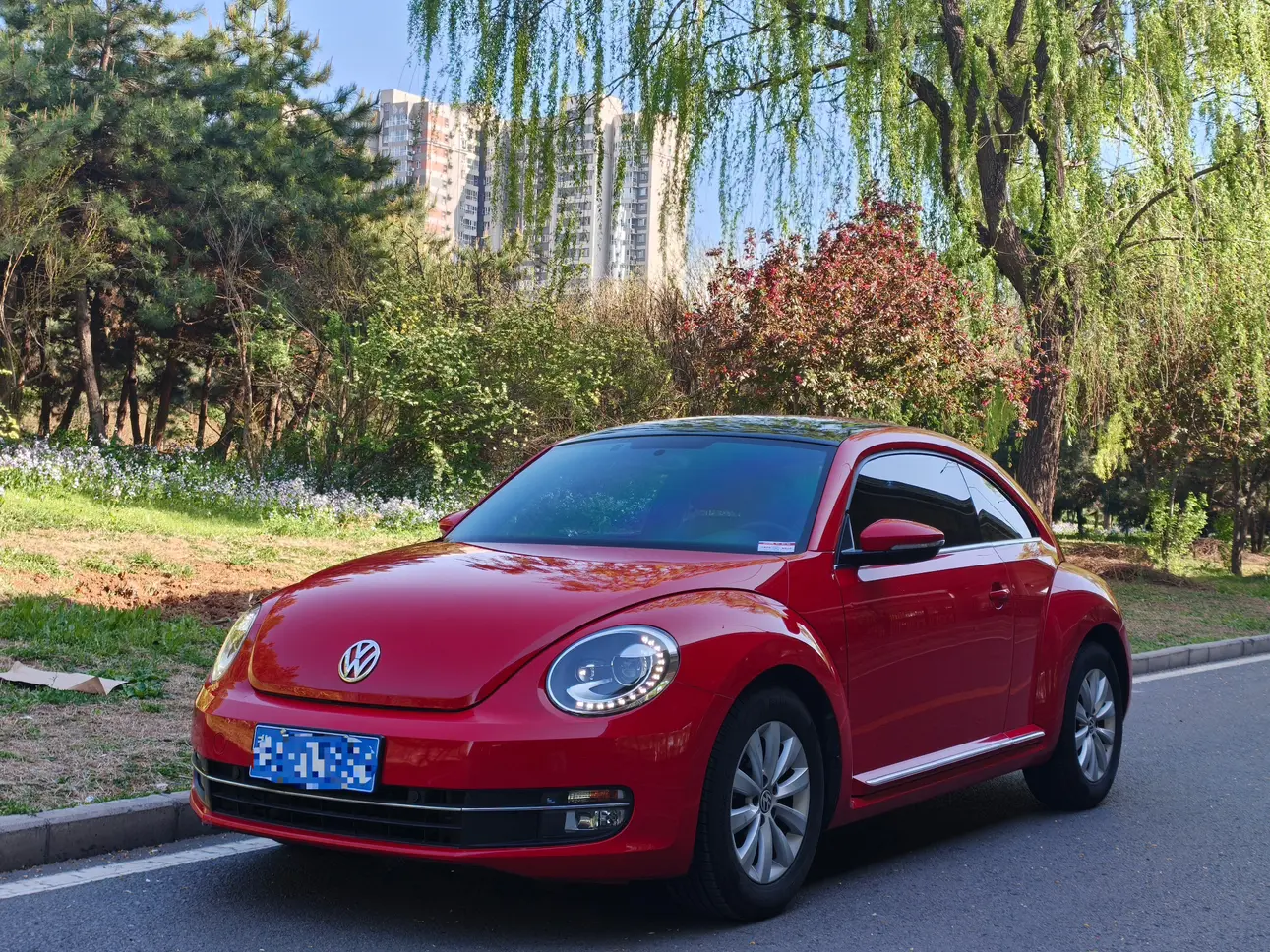 Volkswagen Beetle