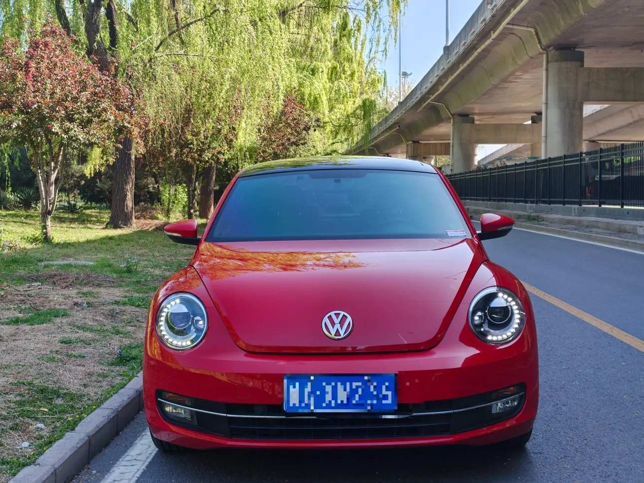 Volkswagen Beetle