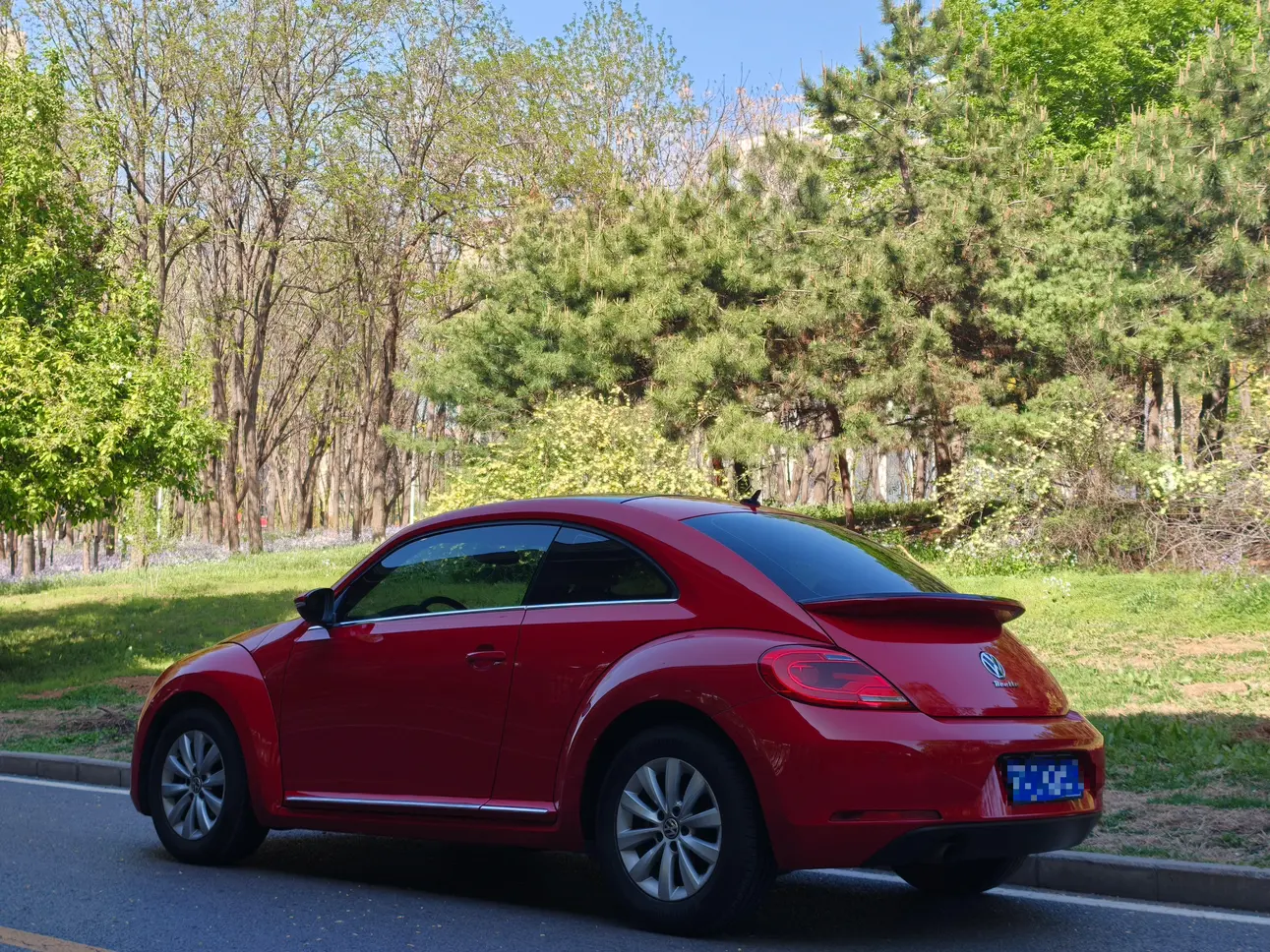 Volkswagen Beetle