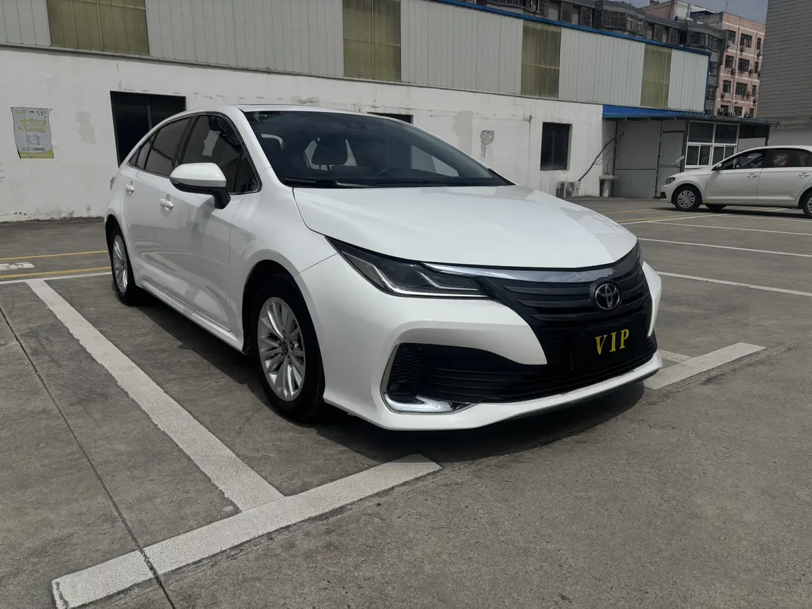 Toyota Asiatic lion