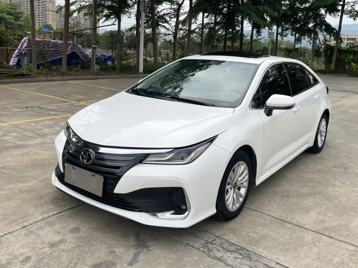 Toyota Asiatic lion