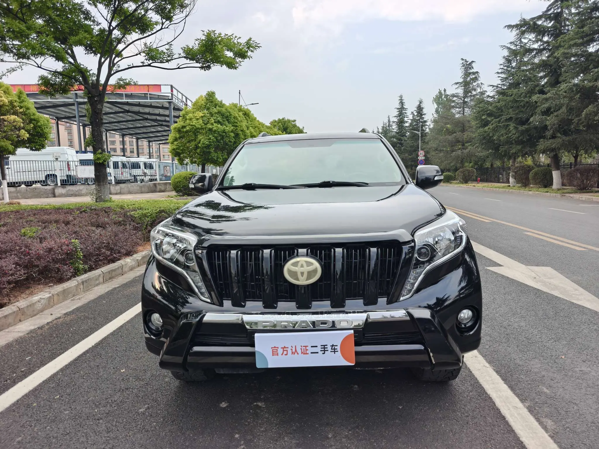 Toyota Prado