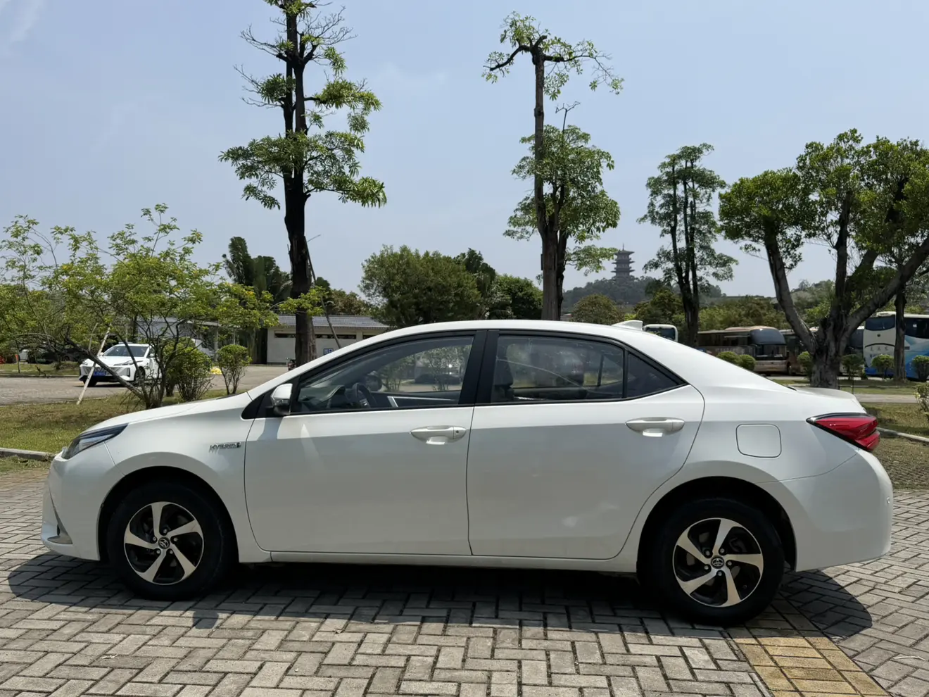 Toyota Levin