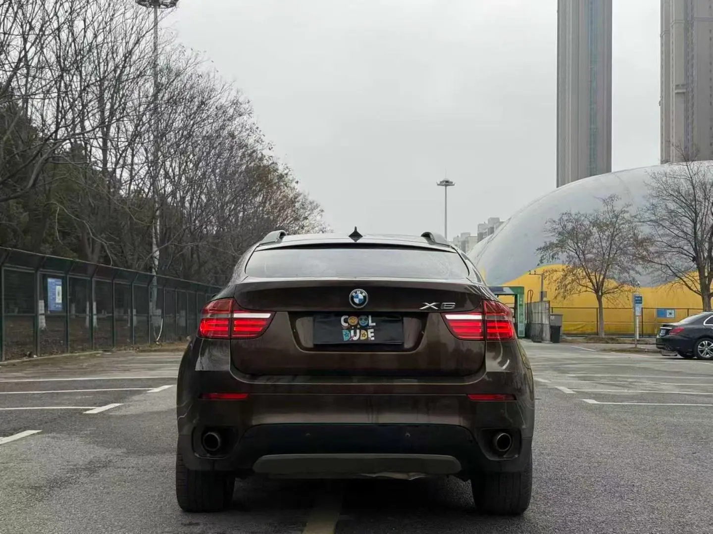 BMW X6