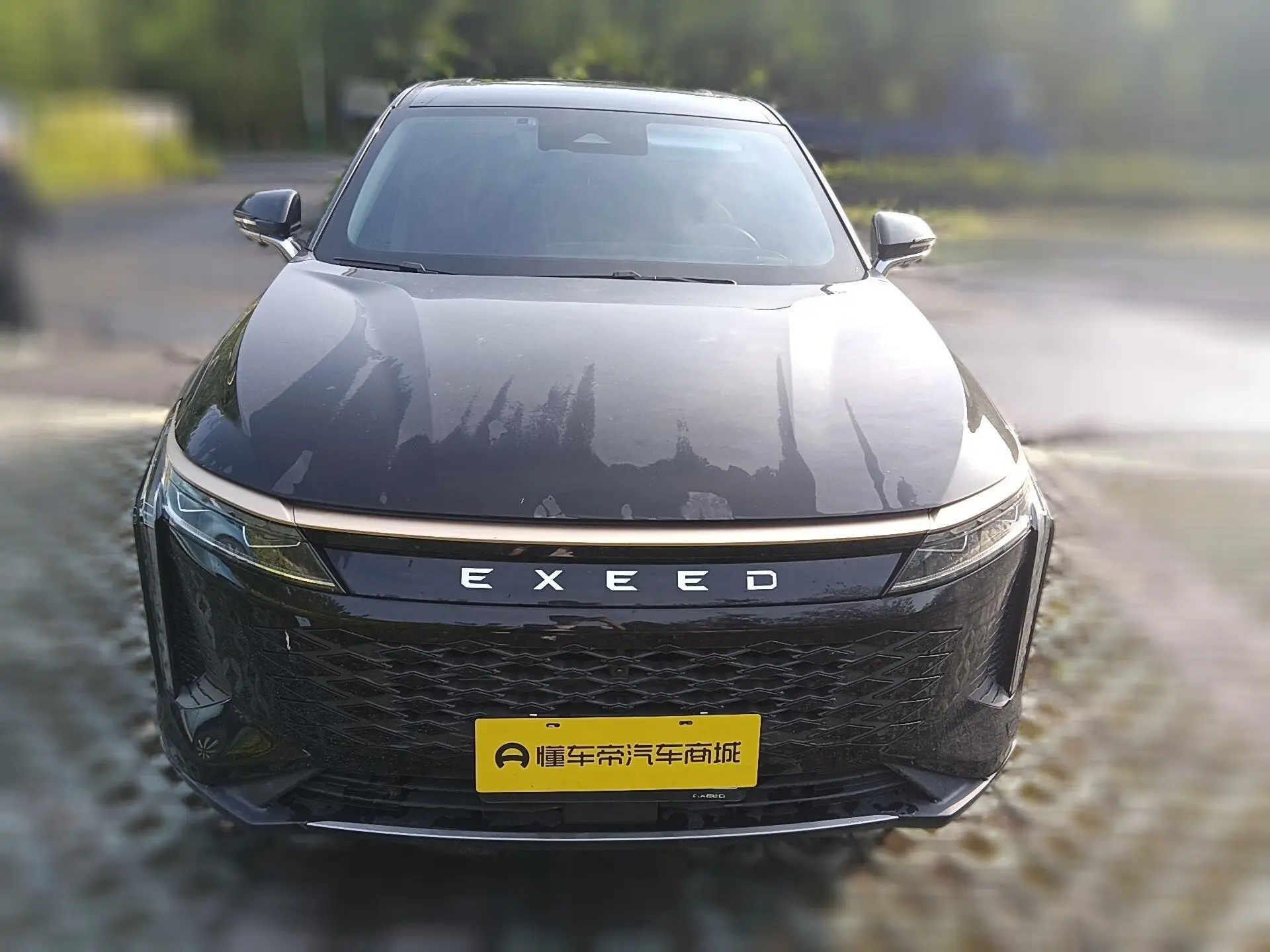 Exeed RX