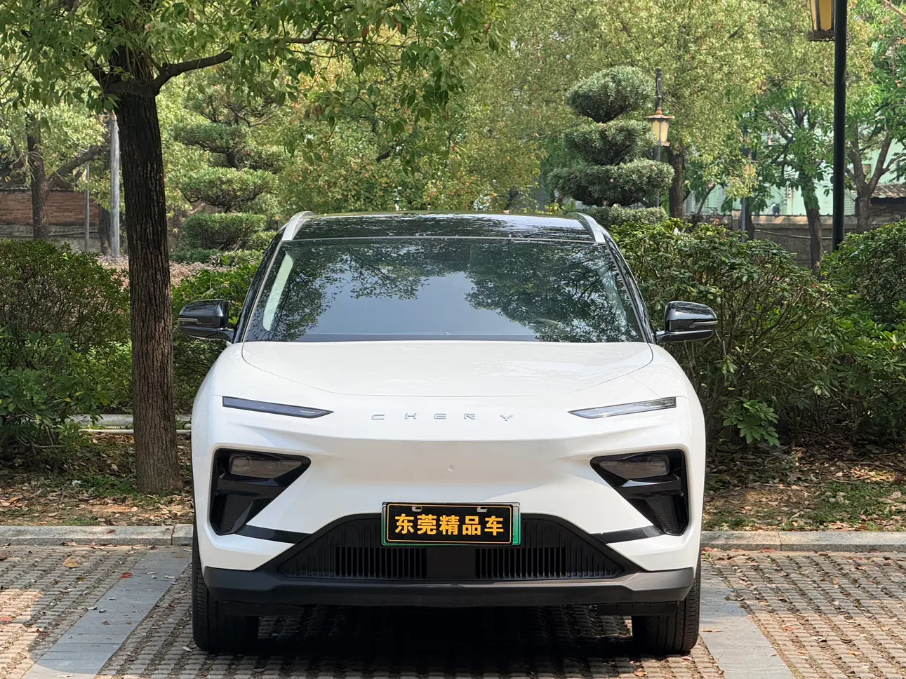 Chery Shuxiangjia