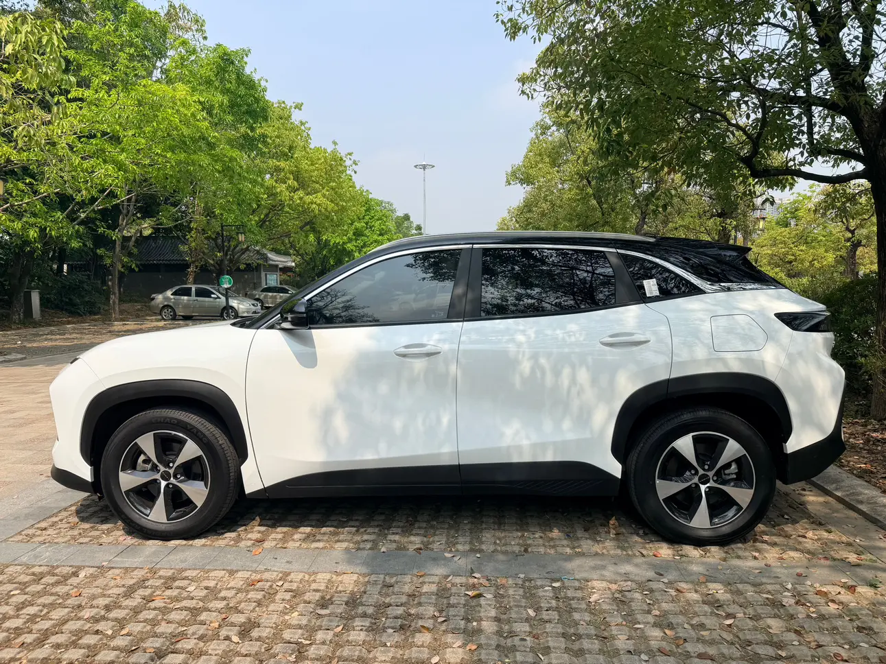 Chery Shuxiangjia