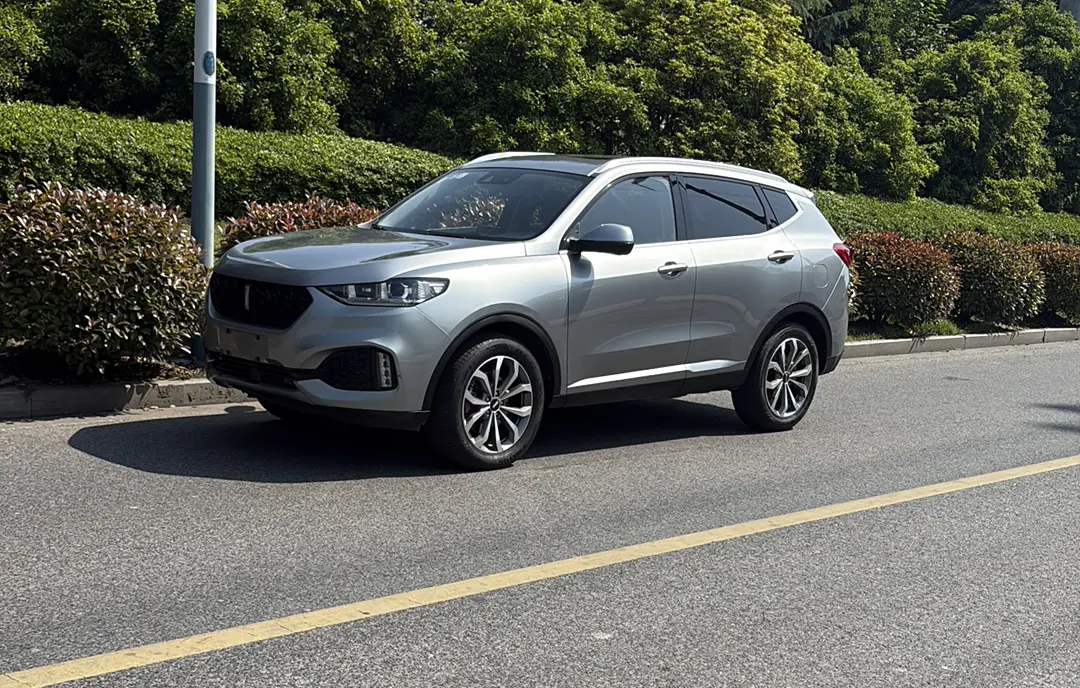 Wey Wei brand VV6