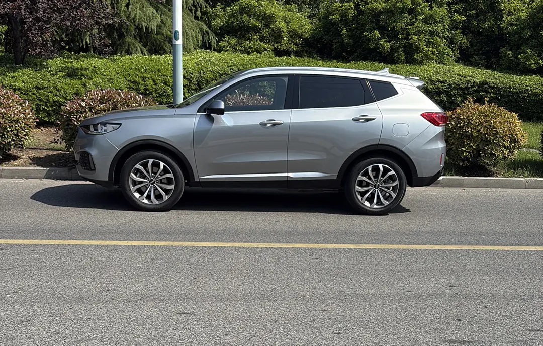 Wey Wei brand VV6
