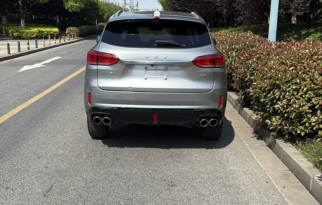 Wey Wei brand VV6