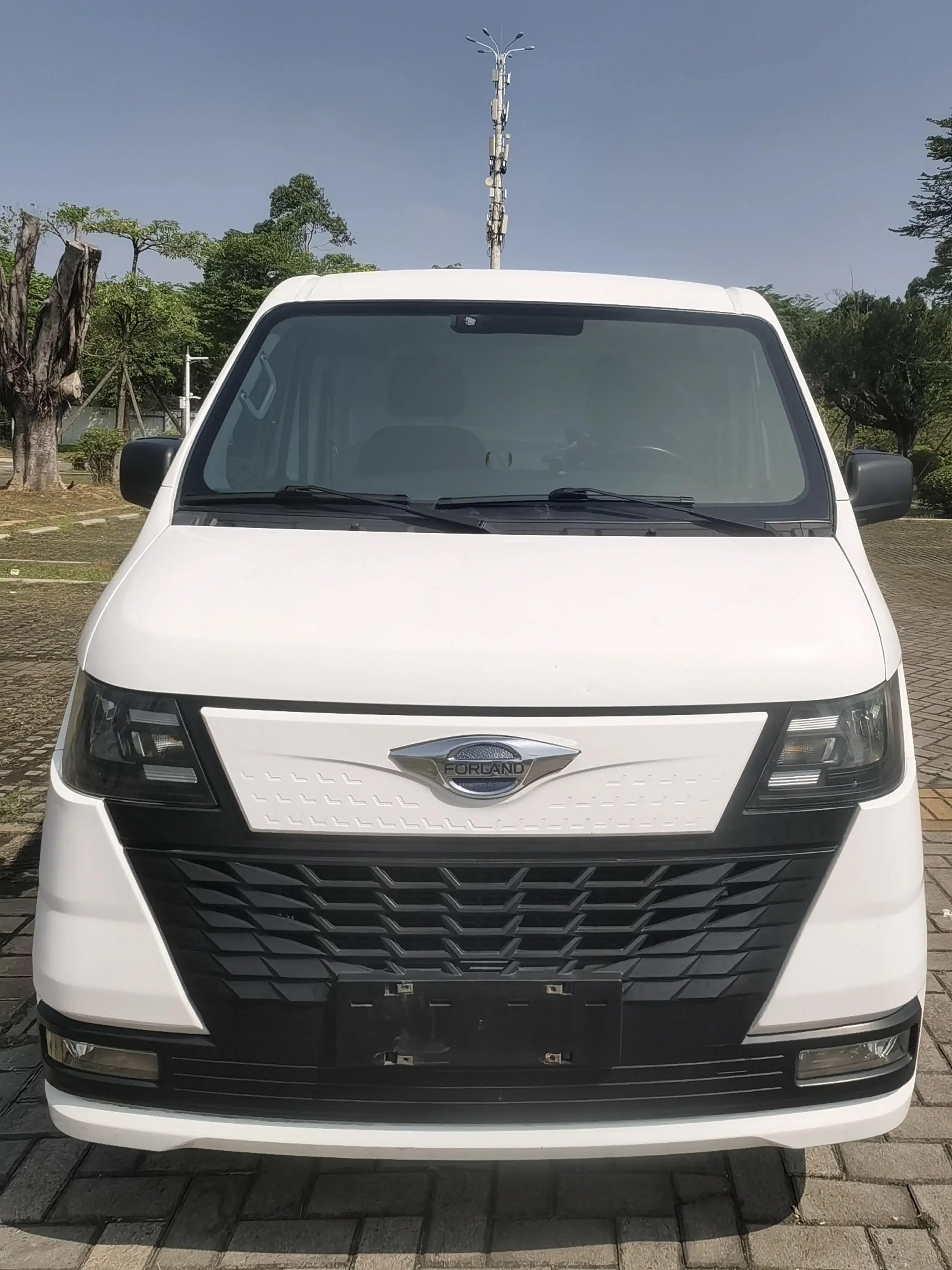 Foton Era EV6