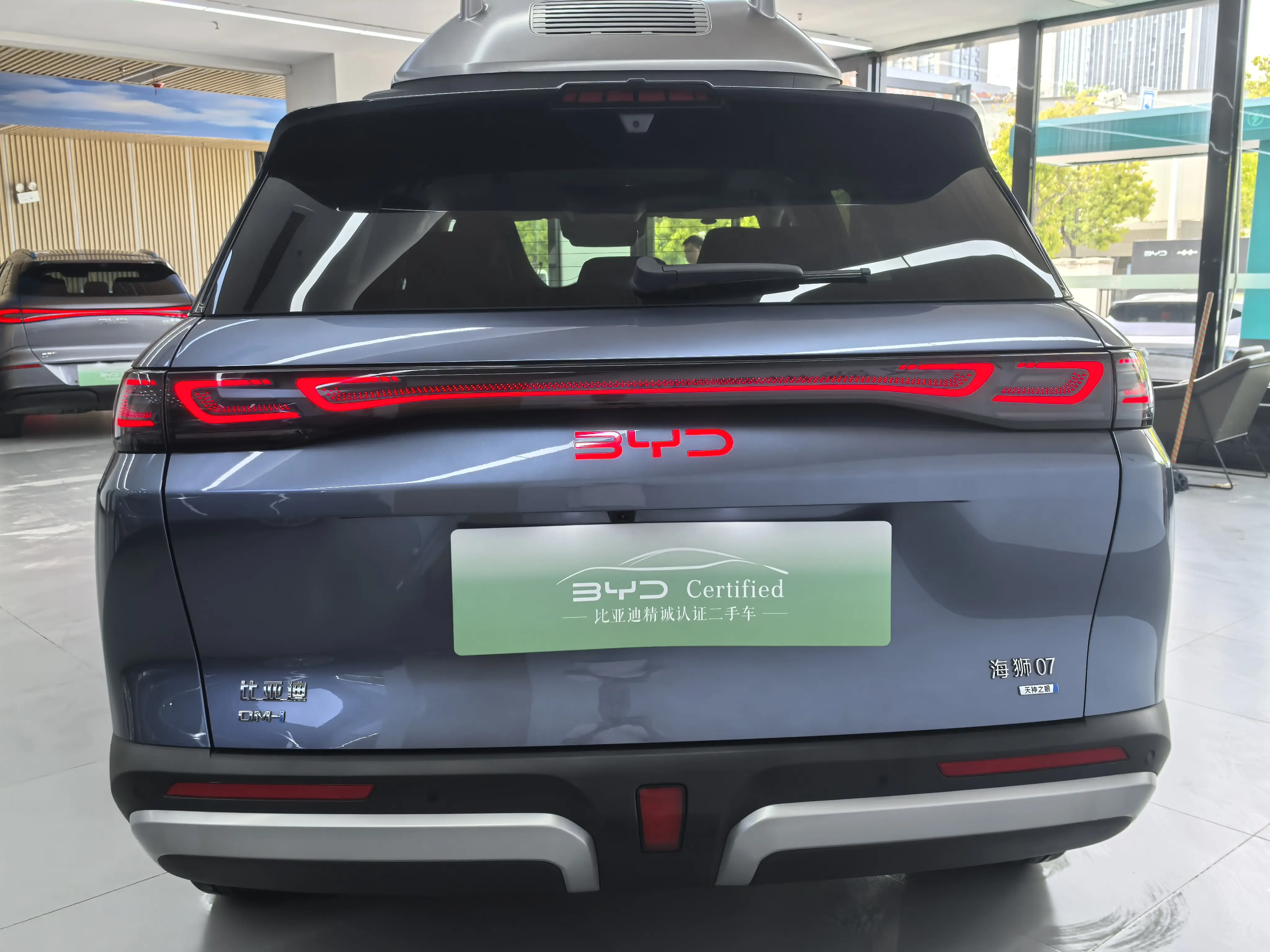 BYD Sea Lion 07DM